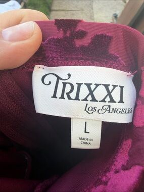 Trixxi Los Angeles Burgundy Velvet Accent Dress